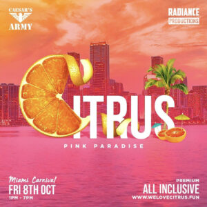 Citrus Miami Carnival Flyer