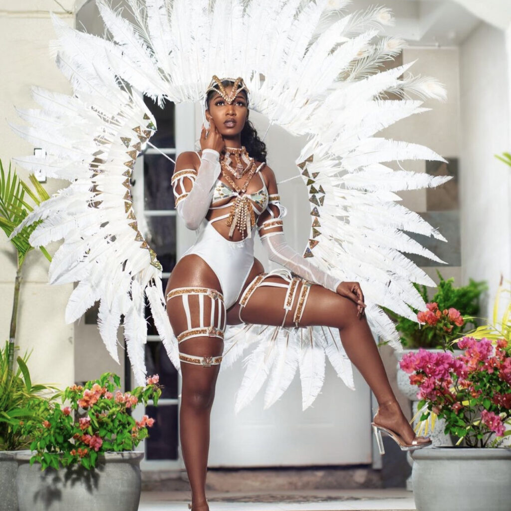 plus size carnival costume