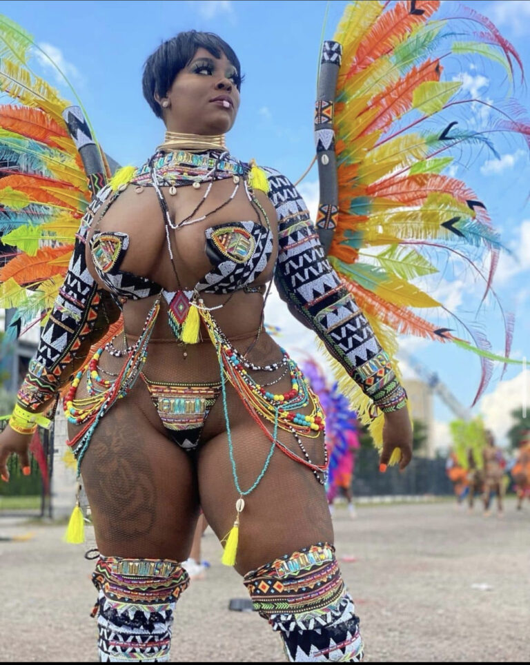 plus size carnival costume