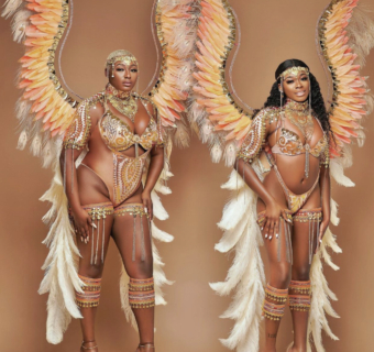 Plus Size Carnival Costumes