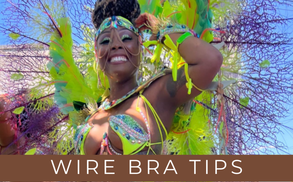 Ordering a wire bra blog cover