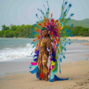 Saint Lucia Carnival with Xuvo Carival