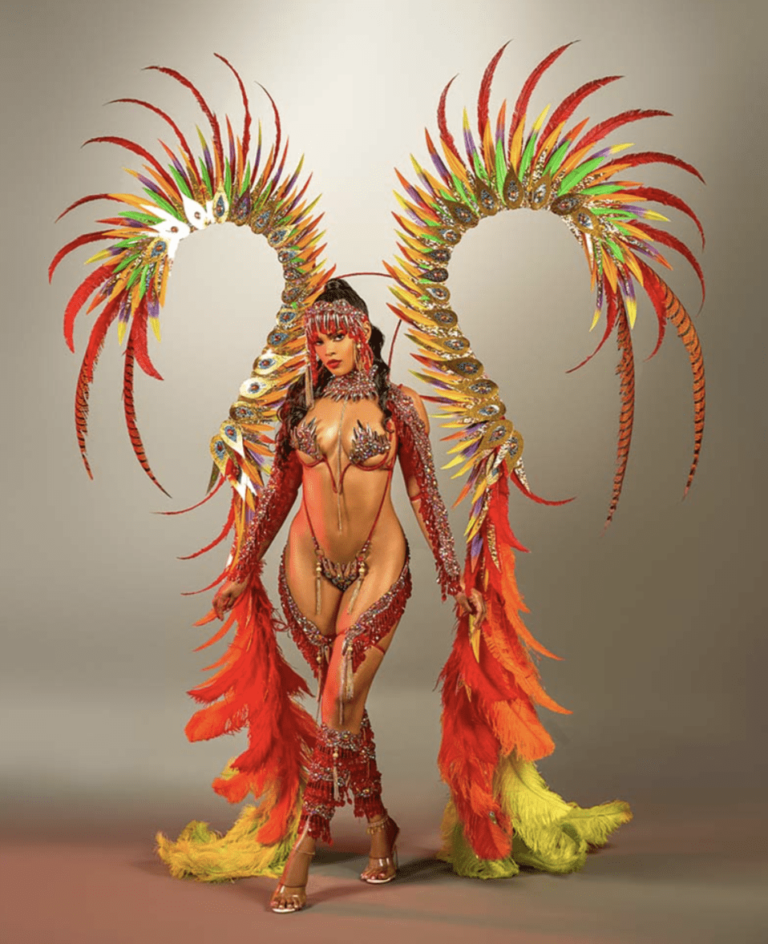 CayMAS Carnival Costume